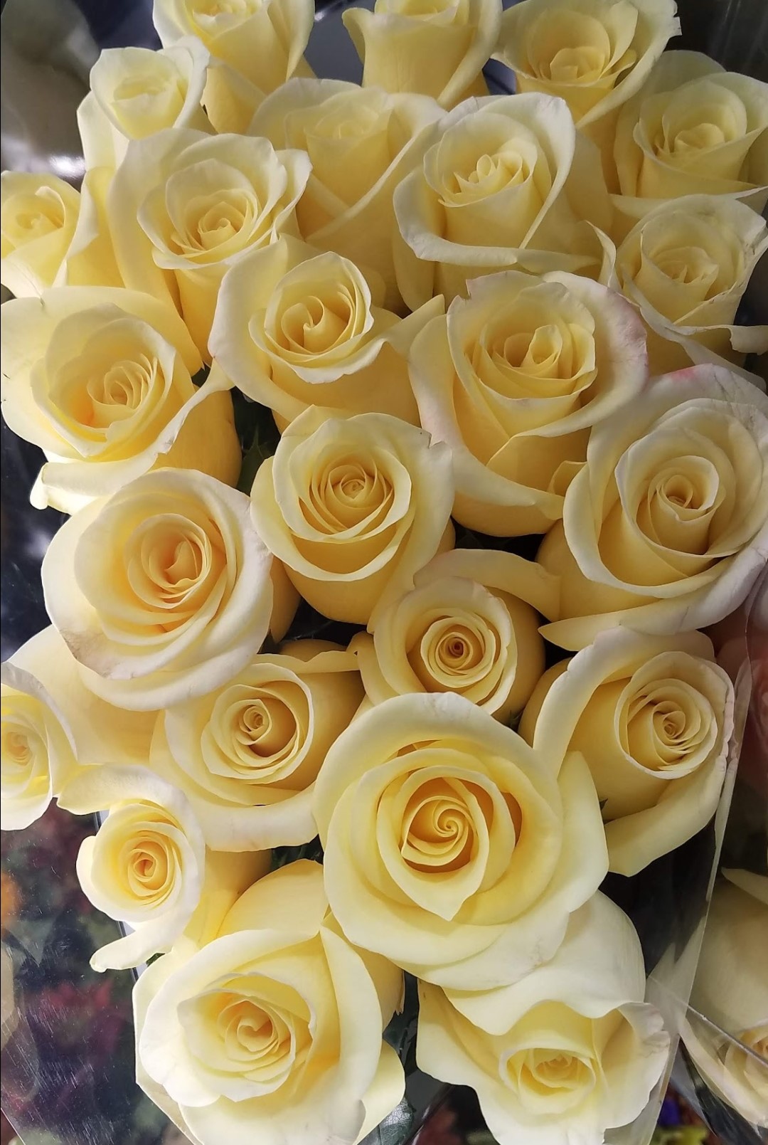 A close up photo of a bunch of yellow roses